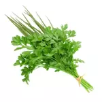 Cheiro Verde UND