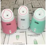 VAPORIZADOR FACIAL