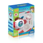 EL OJO HUMANO EN 4D