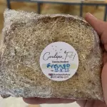 Sanduíche natural de Frango