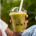 Tropical Fresh