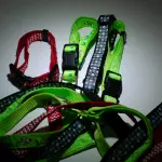 Collar con Arreo