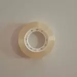Scortech gordo