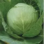 Col Blanca