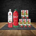 COMBO GIN ETERNITY MELANCIA
