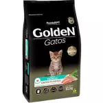 GOLDEN GATO FILHOTES