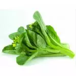 HOJA DE MOSTAZA 菜心