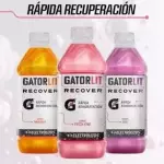 GATORLIT 620ML