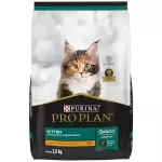 Kitten 3 kg