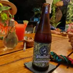 Kombucha
