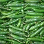 chile tampiqueño