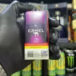 CAMEL BEREY