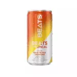 Skol Beats Tropical 269ml Lata