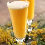 MARACUJÁ C/ CHAMPAGNE.