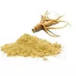 GINSENG EM PÓ