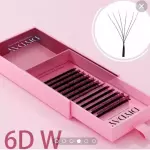 6DW (D) MIXTA