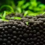 [Consejo] Cálculo del sustrato nutri