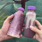 Batido Clasico