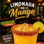 LIMONADAS