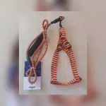 CORREA CON PECHERA PARA PERROS