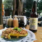 Tacotoro Febo
