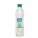 H20 Limoneto