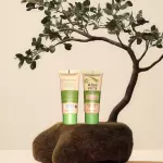 Base liquida de sábila