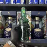 SKOL BEATS MAÇA VERDE 269ML