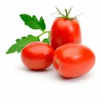 Tomate italiano uni