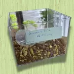 AMENDOIM FRITO (50G)