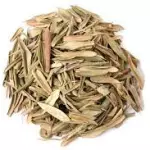 Oliveira