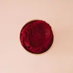 Apple Berries Low-GI