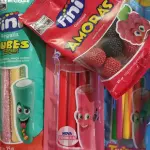 fini tubes