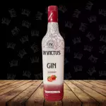 Gin Invictus Morango 900ml