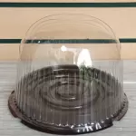 Domo ovalado A019