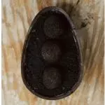 Ovo de ninho com Oreo *350gr