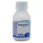AMPICILINA SUSPENSION 250MG 60ML