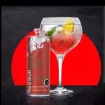 gin de verano