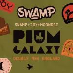 Swamp Plum Galaxy