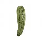 Organic Zucchini Unit