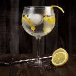 GIN TONICA