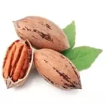 # NOZES PECAN - METADES