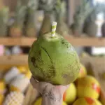 Água de coco no coco natural