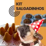 KIT SALGADINHOS