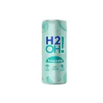 H2O