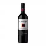 BOTELLA DE VINO GATO NEGRO