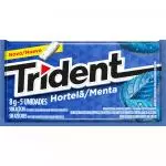 Trident 5s Menta/Hortelã
