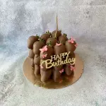 Berry Cake