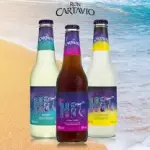 HIT CARTAVIO 355 ML botellita