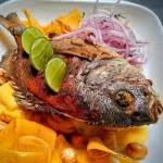 Chita Frita